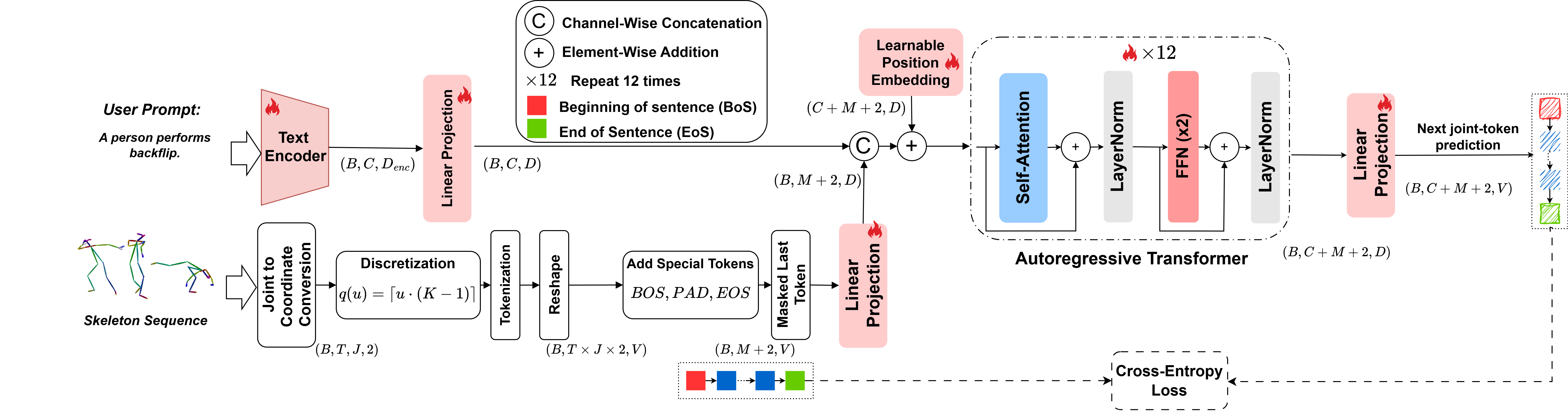 Text-to-Skeleton Generation (Training)